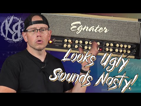 Egnater Tourmaster 4100 100w 4-Channel Guitar Head 2010s - Black/Blonde image 3