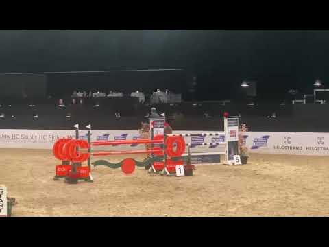 Holle (Zirocco Blue VDL x Heartbraker) 140cm CSI3* Herning