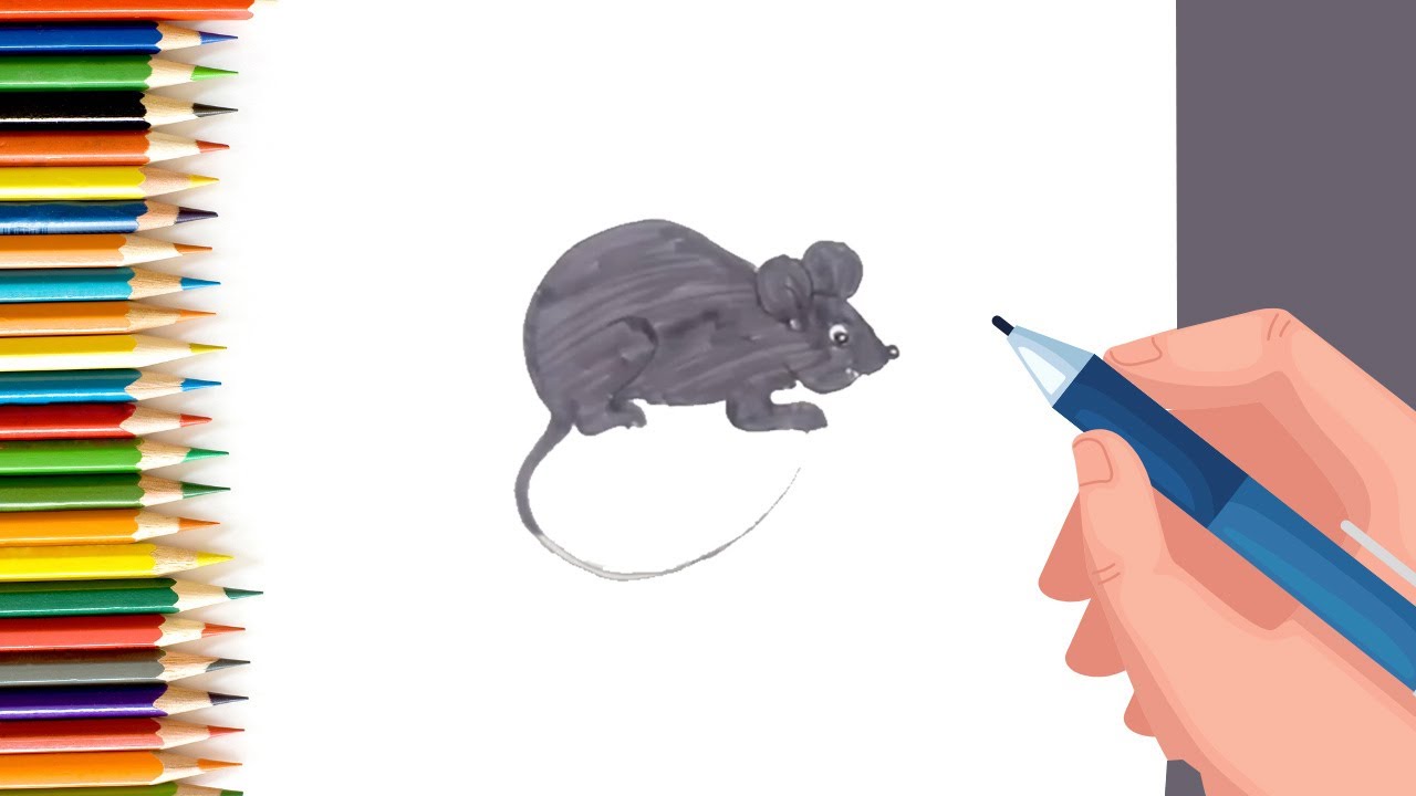 How To Draw A Cartoon Mouse for Kids