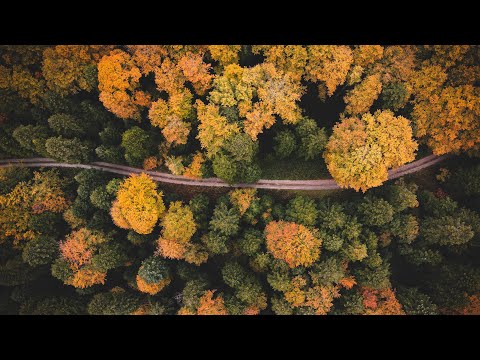 Ranta, Pryda - Europe (Ranta Reload) [Organic House Music]