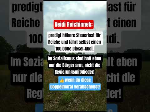 Linke Doppelmoral! #politik #geldpolitik #deutschland #news #dielinke