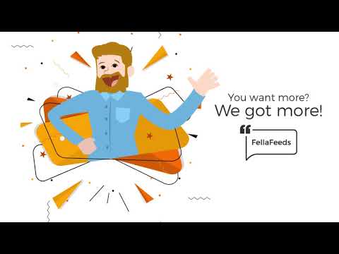 Customer Feedback - FellaFeeds