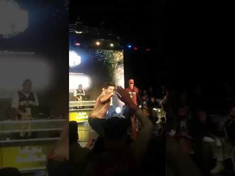 BDM GOLD Argentina Wolf vs Pingui LA FINAL!