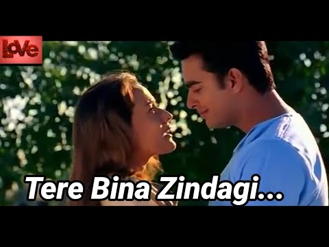 Tere Bina Zindagi se koi shikwa to nahi...|Alka Yagnik and Hariharan song|evergreen old song