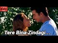 Tere Bina Zindagi Se Koi Shikwa To Nahi Alka Yagnik And Hariharan Song Evergreen Old Song