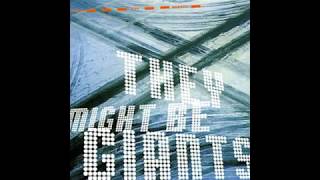 They Might Be Giants - Meet James Ensor (Official Live Audio)