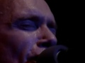 Steve Vai vs Billy Sheehan vs Tony - Chameleon ...