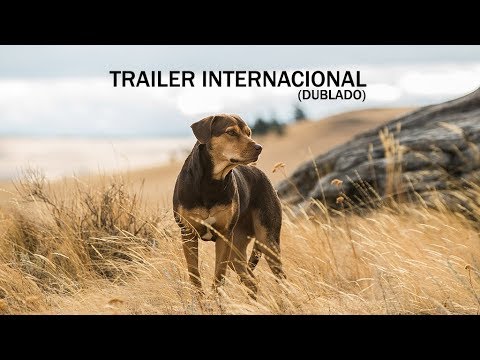 A Caminho de Casa | Trailer Internacional | DUB | 28 de fevereiro nos cinemas