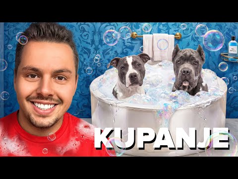 KUPAMO ZUESA I MAKSA 