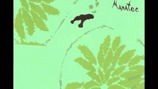 Throwin' The Round Ball - Animal Collective (Danse Manatee)