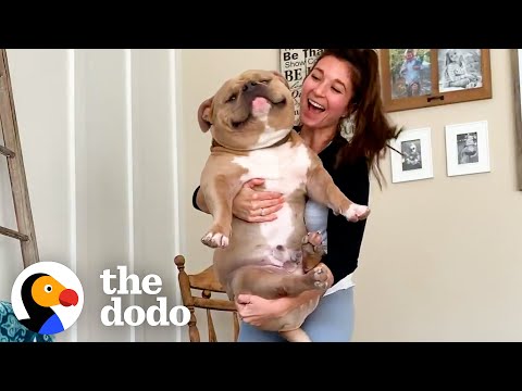 Woman Gets 'Perfect Dog' From Breeder Then Realizes Something's Wrong | The Dodo