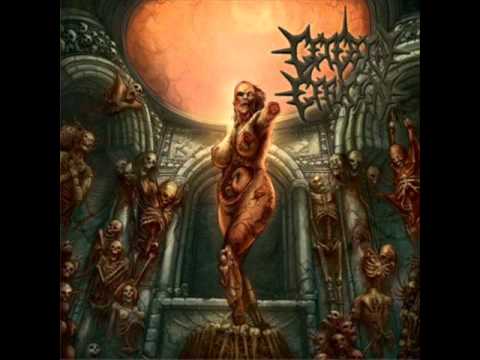 Cerebral Effusion - Absolute Excrement