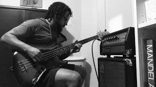 Video thumbnail for Ampeg Micro VR head & 210AV cab by MtlRed