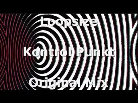 Loopsize - Kontrol Punkt (Original Mix)