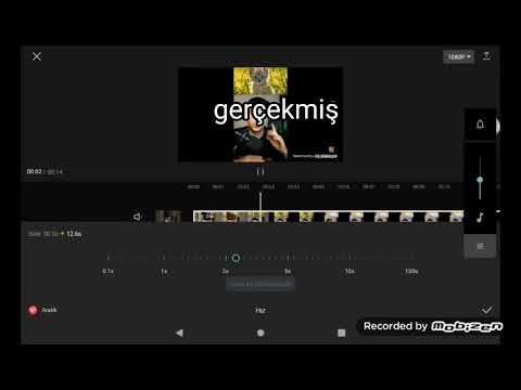 bu korku sesi adamın ölen kedisinin miş #shorts #seniseviyorum#kedi