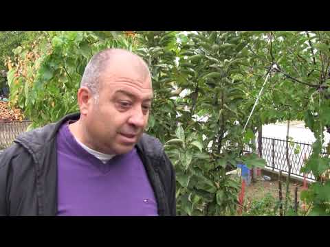 Losa godina za pcelarstvo 27 09 2017