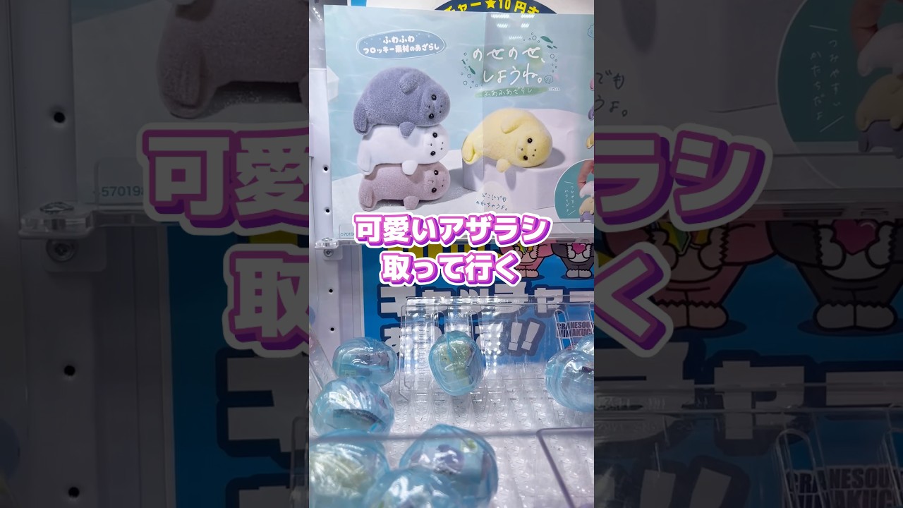 【クレーンゲーム】１プレイ30円の可愛いアザラシを狙った結果#shorts