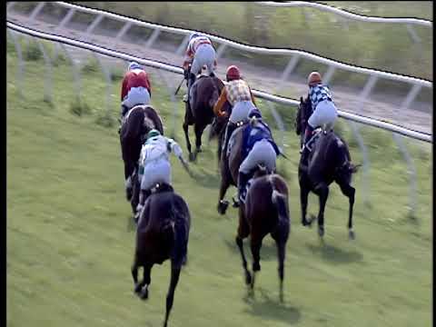 Galoppo 28/06/2019 - 1ª corsa