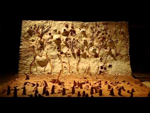 [[#Paso Doble#]] των [[#Miquel Barcelo#]] και [[#Josef Nadj#]] σε παραγωγή Festival d’Avignon, [[#Centre Chorégraphique National#]] d’Orléans, Avignon, Γαλλία (2006).