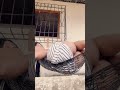 Yanina Molina Hot New Video