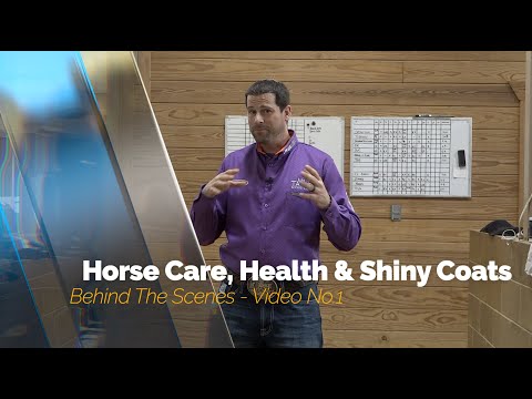 How I Keep Horses Feeling & Looking Their Best - Behind The Scene