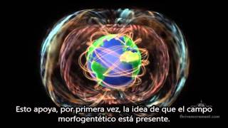 BIO THINKING: Nassim Haramein - Cómo tus pensamientos crean la realidad (subtitulado)