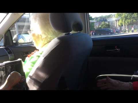 Genevieve You Can't Go Up Main Street! ITS CLOSED SON OF A BITCH!!