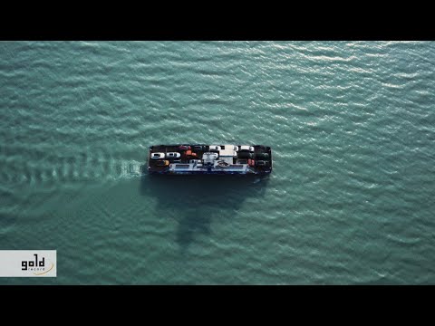 Gold Record Hungary and New Level Empire