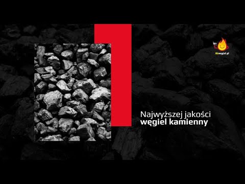 Zobacz filmy, Składwęgla.com Sp. z o. o., Łódź