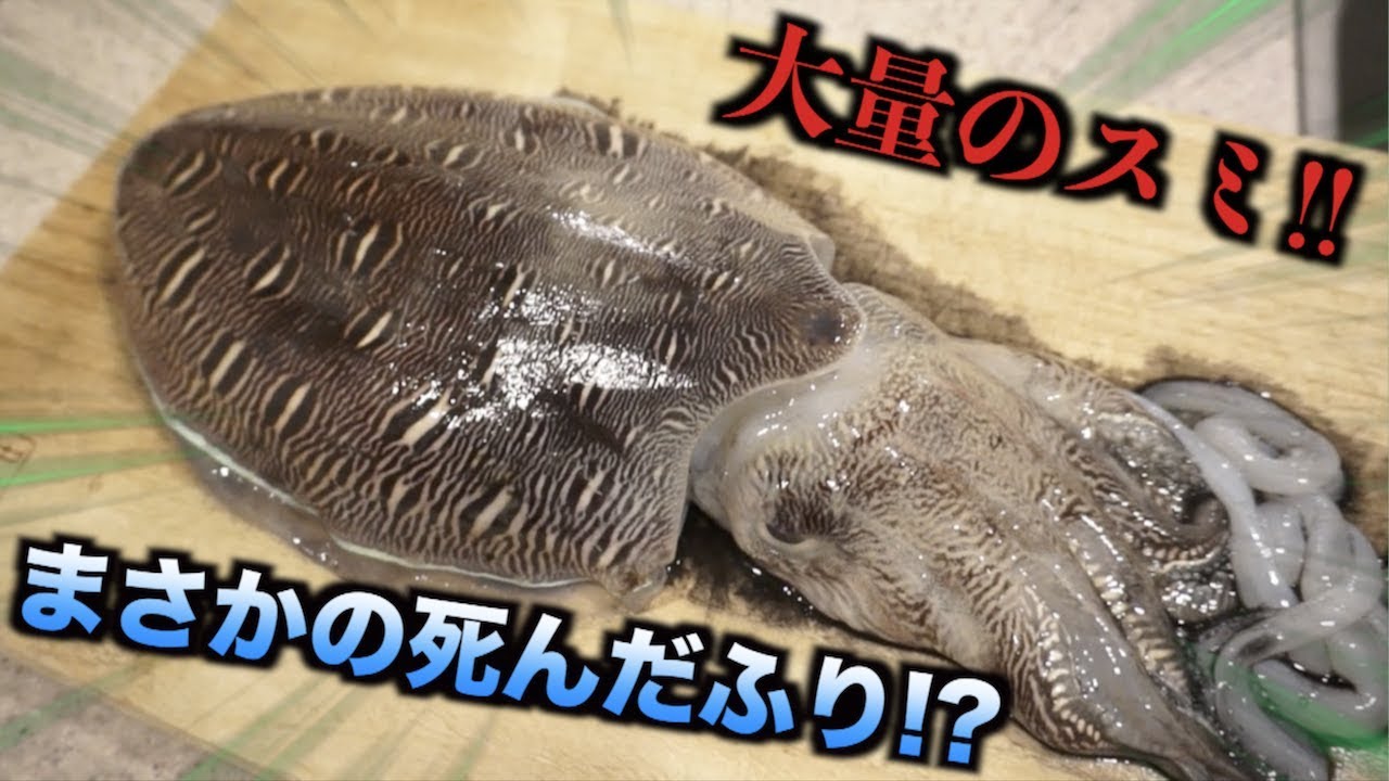 死んだと思ってたイカにまんまとやられた！！！