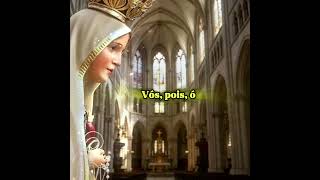🌹 SALVE RAINHA: MÃE DE MISERICÓRDIA, OREM CONOSCO