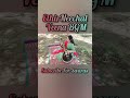 Ethir Neechal Veena Symphony Veena BGM