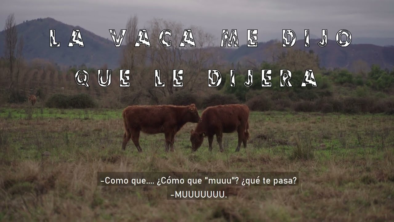 LA VACA ME DIJO QUE LE DIJERA - CORTOMETRAJE OBRA DE TÍTULO.