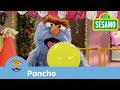 Sésamo La Fiesta De Cumpleaños De Gus