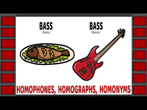 English Homophones, Homographs & Homonyms | Definitions & Examples