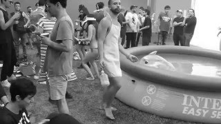 Video from Parque Experimental El Eco.