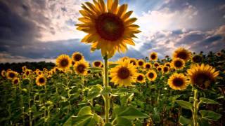 Shawn McDonald- Take Hold