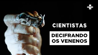 Miniatura do vídeo