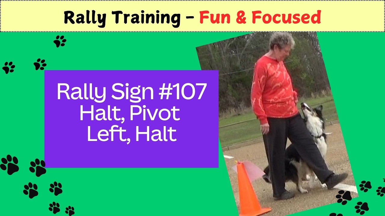 Rally Sign #107 Halt Pivot Left Halt - Training Fun & Focused ...