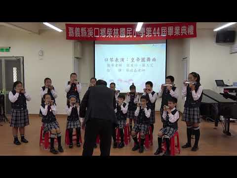 「柴藝如林」小學堂_封面照片