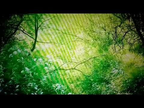 Portaltage April 2022✨