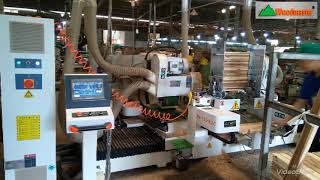 MỘNG DƯƠNG 2 ĐẦU TẢI NẶNG WOODMASTER CAO TỐC