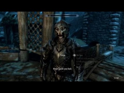 Khajiit guards your back