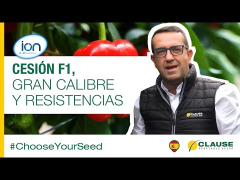 Video: CESION F1
