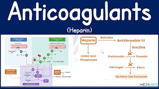 Anticoagulants: Heparin Mechanisms, Clinical Use, and Monitoring and Clinical Insights
