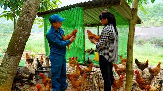 Download lagu Former police officer builds new chicken coop. Single mother catches giant fish to sell at market mp3