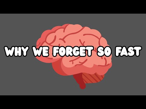 Why Do We Forget So Fast?