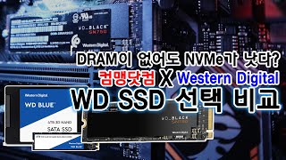 WD SSD 선택가이드! BLUE SATA / BLUE NVMe / BLACK NVM