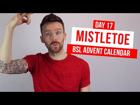 BSL Advent Calendar Day 17: "Mistletoe"