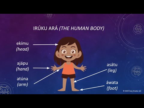 Let's Talk Taíno 95 - The Human Body (Part 1)